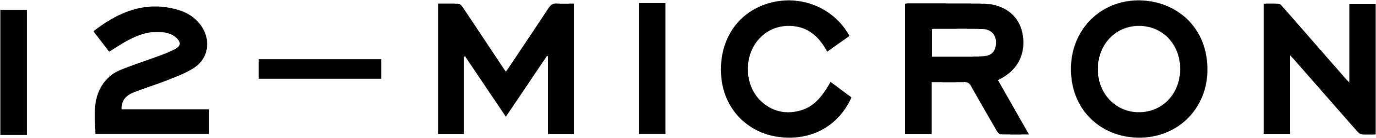 12-Micron logo